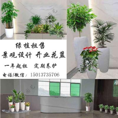 前台花箱、盆器组合