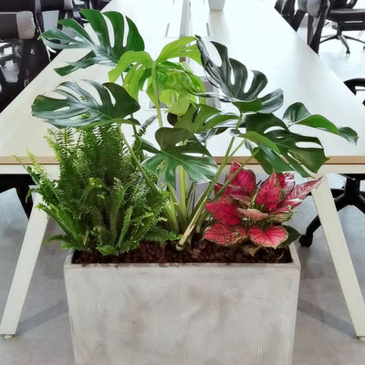 花箱