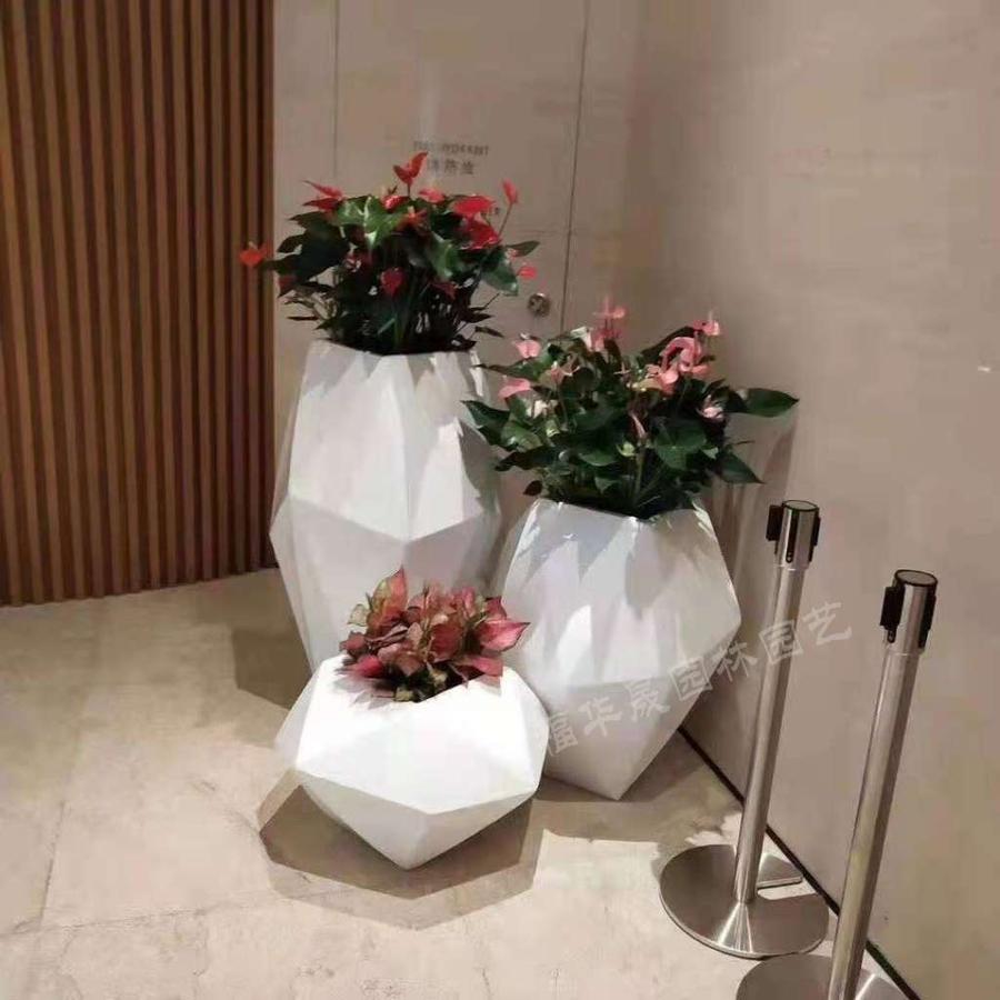 红掌粉掌如意组合